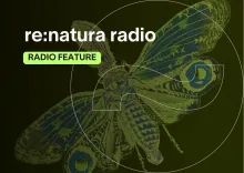 show cover 